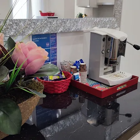 招待所 Maria In Vaticano 罗马